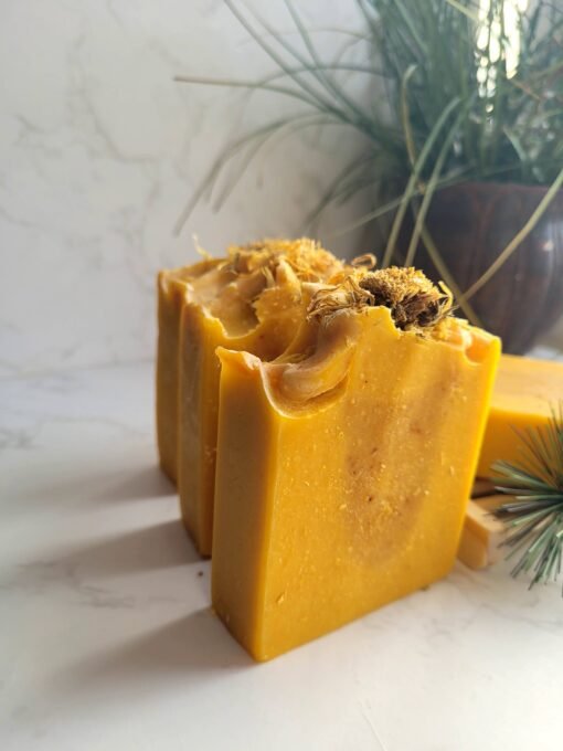 Carrot & Turmeric - Image 2